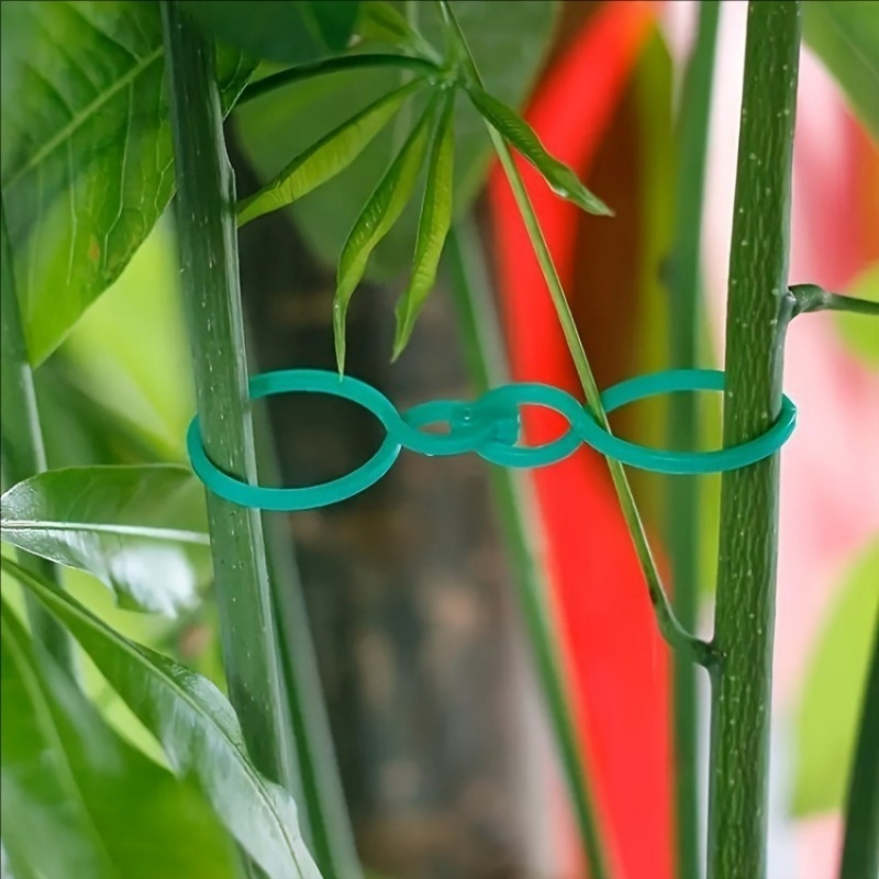 125 szt. Zestaw do podtrzymywa – Plant Parent Kit recenzja i cena