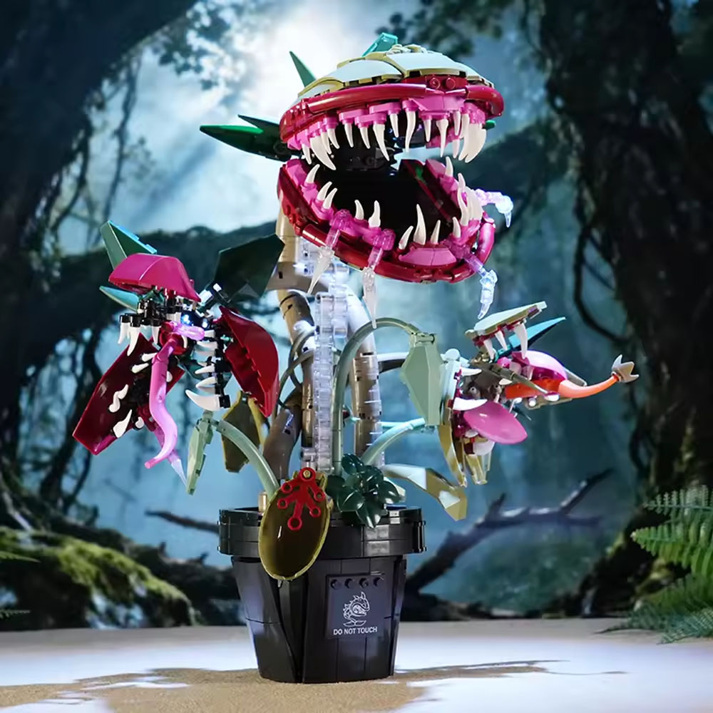 Kreatywne Rośliny Mięsożerne w – Plant Parent Gifts recenzja i cena