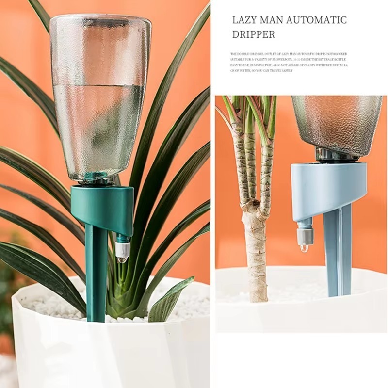 Regulowane kolce samonawadniaj – Plant Parent Kit recenzja i cena